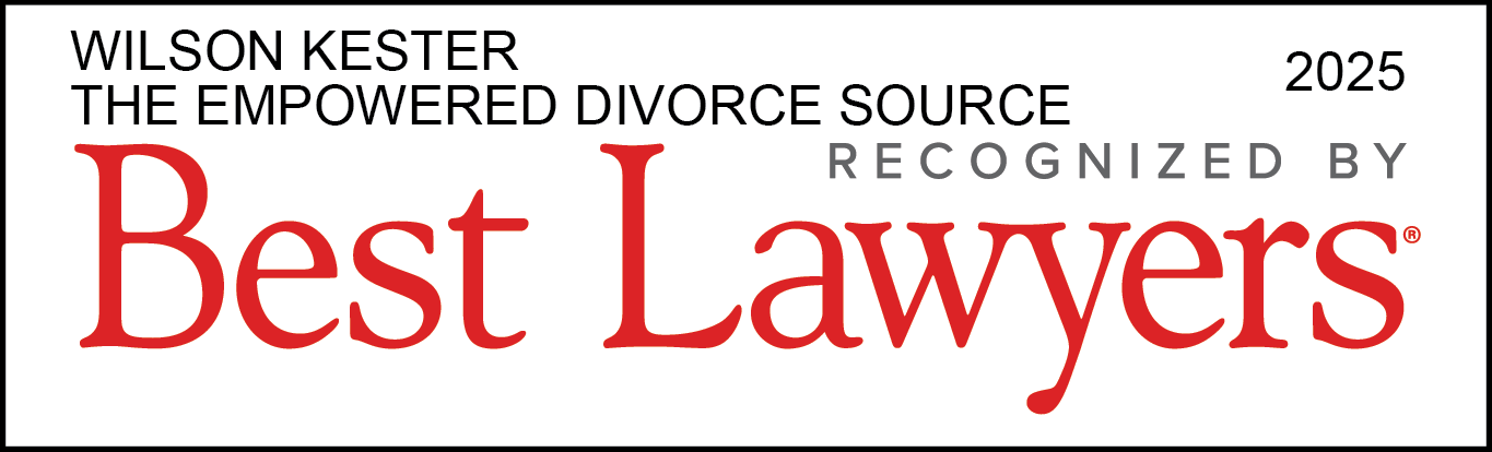 michigans top family law firm